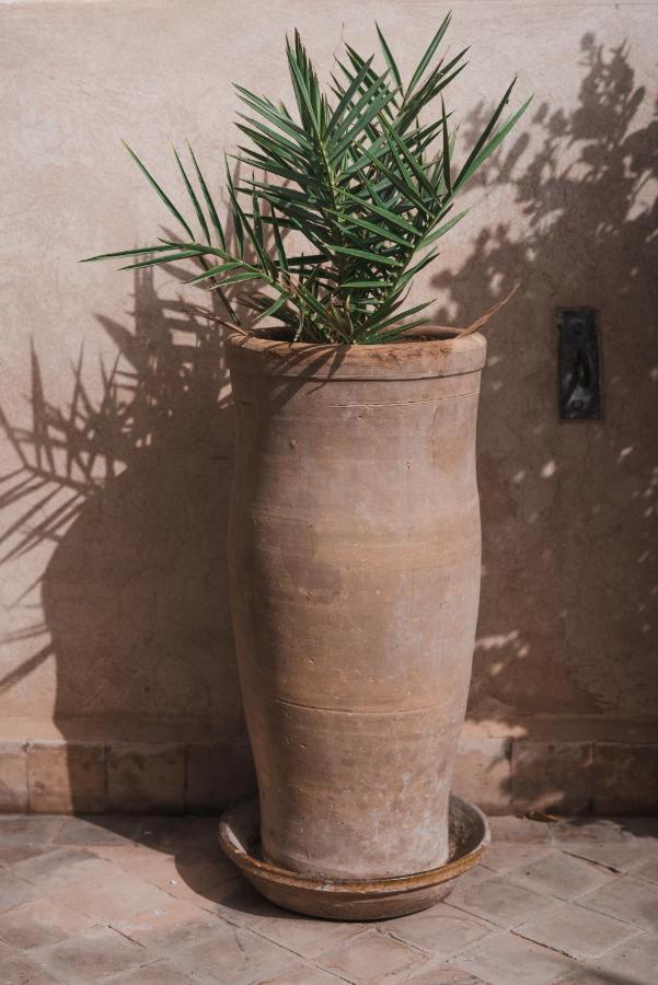 מרקש Riad Al Massarah מראה חיצוני תמונה